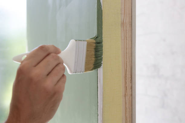 Professional Mold Removal in North Royalton, OH