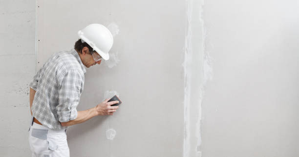 Best Biohazard Mold Removal  in North Royalton, OH