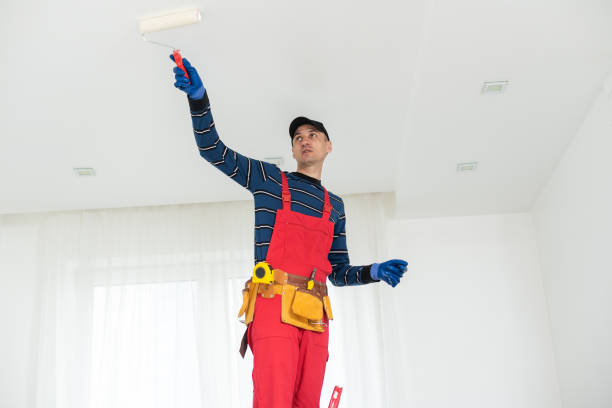  North Royalton, OH Mold Removal Pros