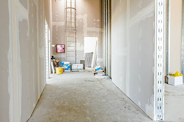 Best Airborne Mold Testing  in North Royalton, OH